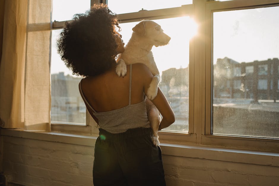  Kieferstarke und Gewohnheit beim Hundebekauen