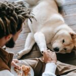 Hund legt Pfote auf Hand als Zeichen des Vertrauens
